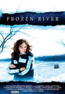 Frozen River poster image