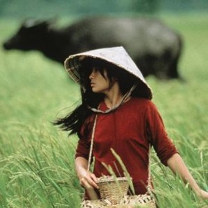 HEAVEN AND EARTH, Hiep Thi Le, 1993, © Warner Brothers