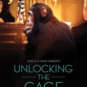 Unlocking the Cage (2016) photo 12