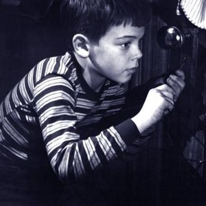 The Window (1949) photo 9
