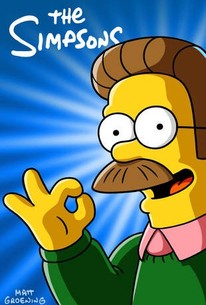 The Simpsons: Season 23 poster image