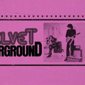 The Velvet Underground photo 13