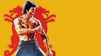 Bruce king of kung fu hotsell