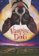 Vampire Dog poster image