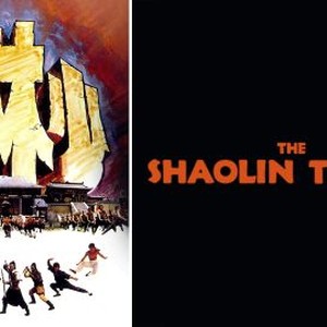 The mysterious 36 chambers of the shaolin temple essay 06 picture