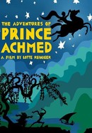 The Adventures of Prince Achmed poster image
