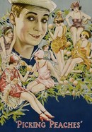 Picking Peaches poster image