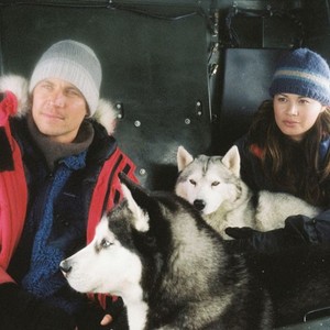 Eight Below Rotten Tomatoes