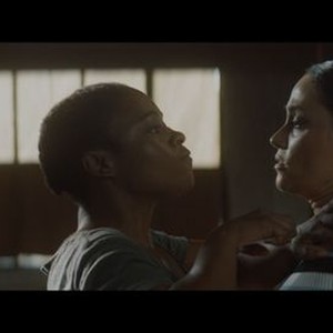 Assassin - Rotten Tomatoes