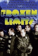The Frozen Limits poster image