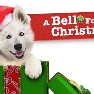 "A Belle for Christmas photo 4"