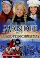 Mandie and the Forgotten Christmas poster image