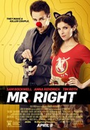 Mr. Right poster image