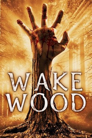 Wake Wood poster