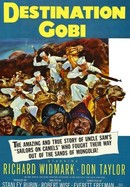 Destination Gobi poster image