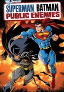 Superman/Batman: Public Enemies poster image