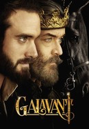 Galavant poster image