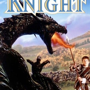 Teen Knight photo 3