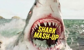 Awesome Moments from the Best Shark Movies