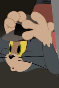 The Tom and Jerry Show - Rotten Tomatoes