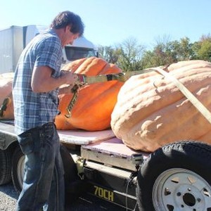 Jarrett Joyce - Rotten Tomatoes