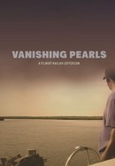 Vanishing Pearls: The Oystermen of Pointe à la Hache poster image