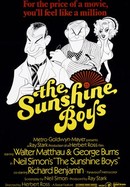 The Sunshine Boys poster image