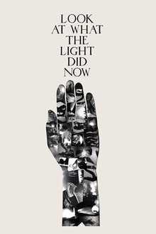 Look at What the Light Did Now | Rotten Tomatoes