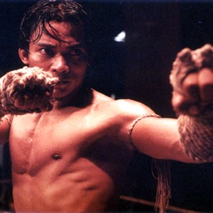  Ting (Tony Jaa) in "Ong Bak: The Thai Warrior." photo 20