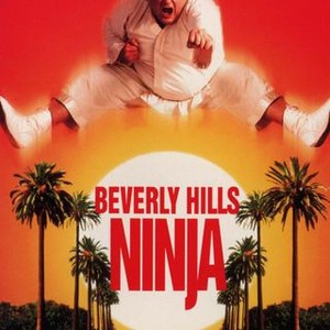Beverly Hills Ninja (1997) photo 12