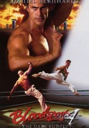 Bloodsport 4: The Dark Kumite poster image