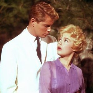 A Summer Place (1959) photo 4