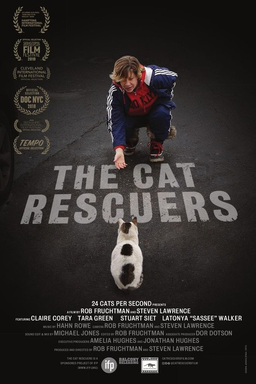 The Cat Rescuers poster