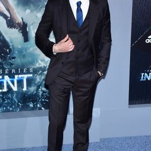 Theo James at arrivals for THE DIVERGENT SERIES: INSURGENT Premiere, Ziegfeld Theatre, New York, NY March 16, 2015. Photo By: Gregorio T. Binuya/Everett Collection