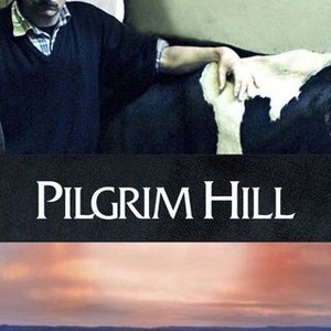 "Pilgrim Hill photo 7"