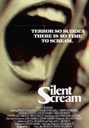 Silent Scream poster image