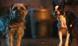 Strays - Trailers & Videos | Rotten Tomatoes