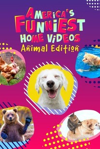 America's Funniest Home Videos: Animal Edition - Rotten Tomatoes
