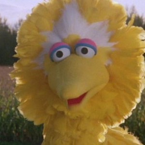 Sesame Street Presents: Follow That Bird (1985)