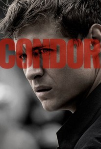 Condor: Season 1 poster image