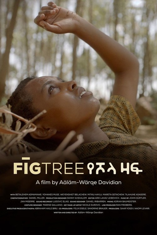 Fig Tree poster