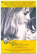 Secret World poster image