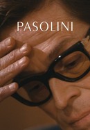 Pasolini poster image
