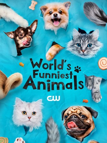 Funniest animals tv store show