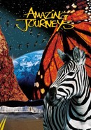Amazing Journeys poster image