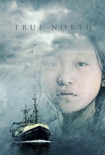 True North poster