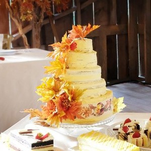 A harvest sales wedding watch online