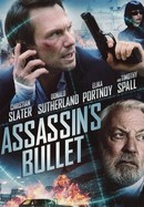 Assassin's Bullet poster image