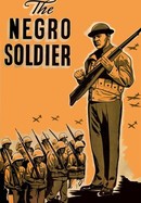 The Negro Soldier poster image