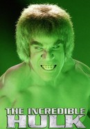 Incredible Hulk poster image
